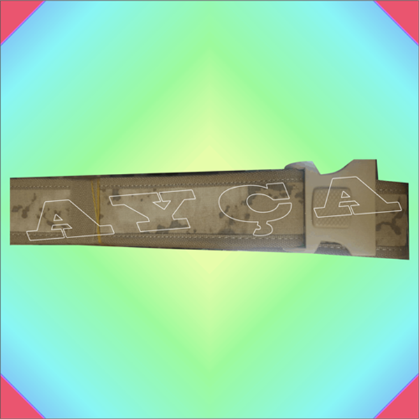 YENİ JANDARMA PALASKA